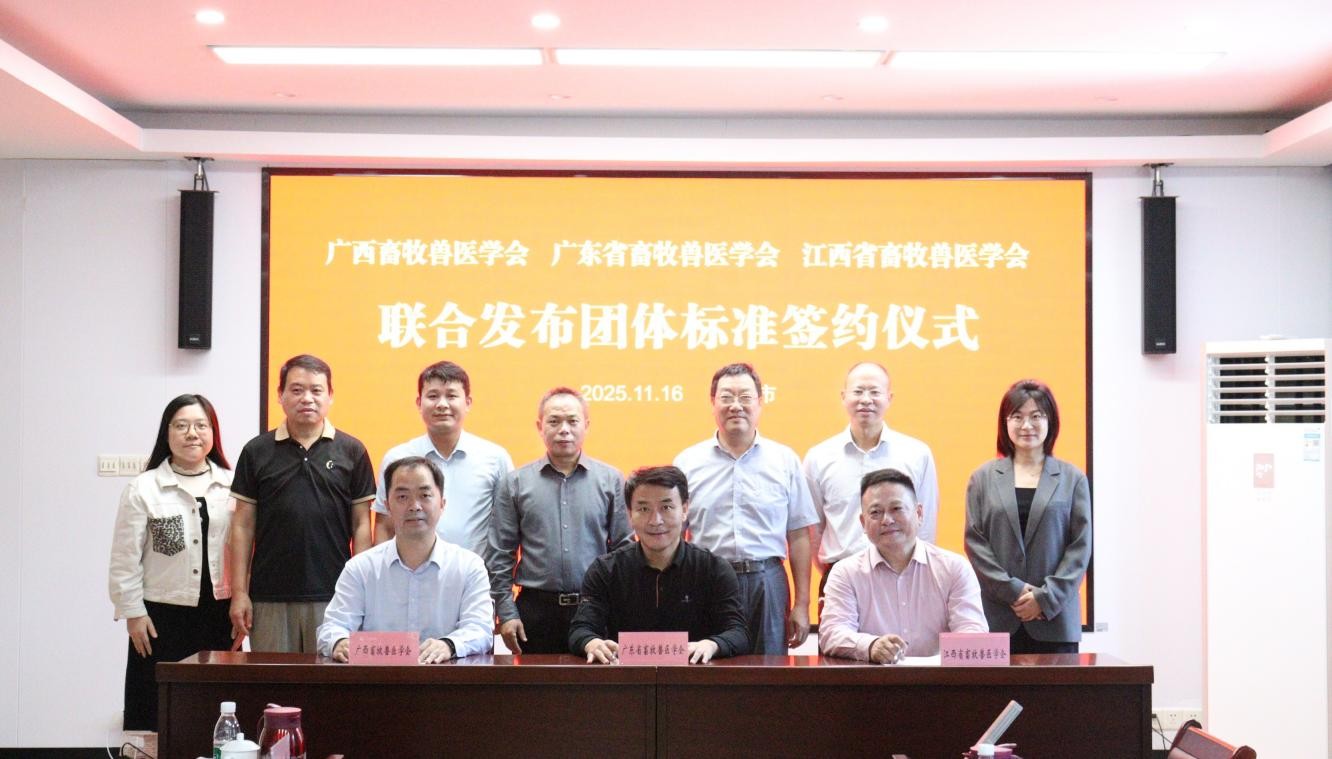 图片6.jpg 图片6.jpg