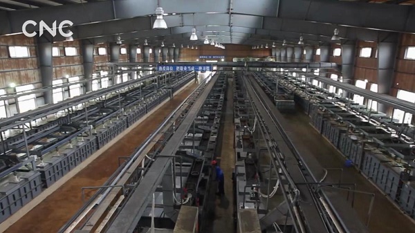 UID20191124150040587621.jpg@1000w_1e_1c_80Q_1x.jpg UID20191124150040587621.jpg@1000w_1e_1c_80Q_1x.jpg