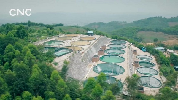 UID20191124145948735574.jpg@1000w_1e_1c_80Q_1x.jpg UID20191124145948735574.jpg@1000w_1e_1c_80Q_1x.jpg